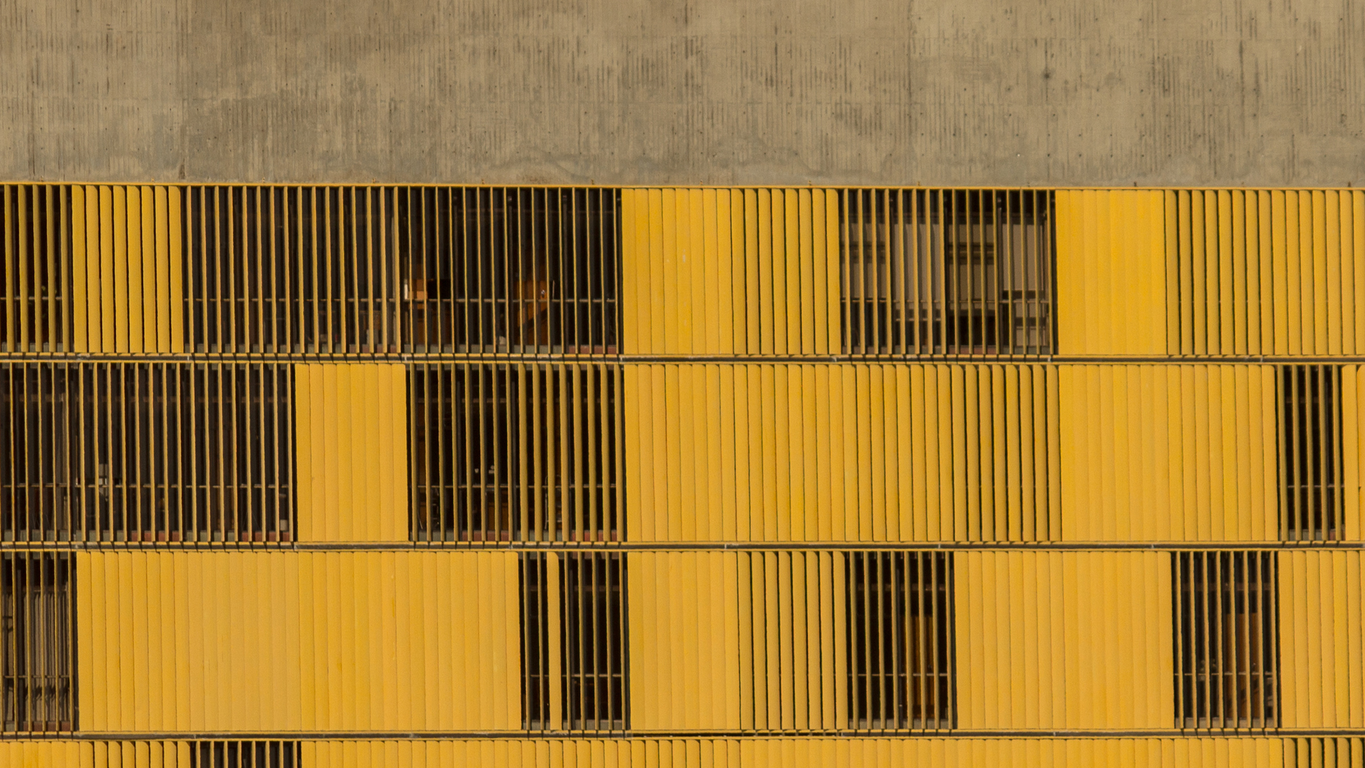 Formas de Colaborar com o Governo